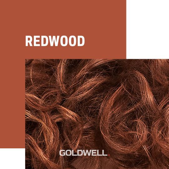 redwood