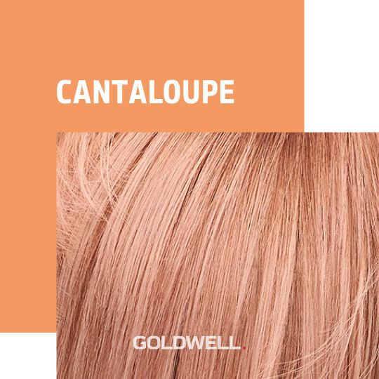 cantaloupe